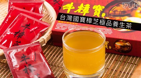 牛樟寶-台灣國寶樟芝極品養生茶