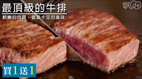 紐西蘭多汁象印 保溫 瓶 480ml小鮮肉嫩肩牛排(買一送一)