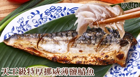象印 保溫 杯 480ml天王級特厚挪威薄鹽鯖魚