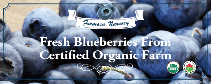 莓好時光 Berry Lovely-加拿大空運新鮮藍莓 風靡全球珍稀藍鑽，一年一次與加拿大同步品味！天然農法悉心呵護，世界水果之王限量預購！