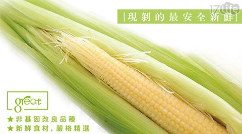 鮮綠農產-嚴選爽脆帶葉水果玉米筍